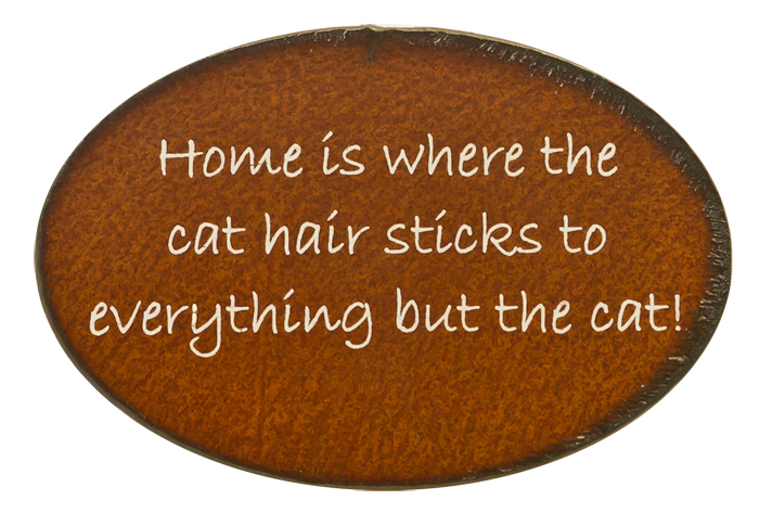 Home Is Where/Cat Print Magnets
