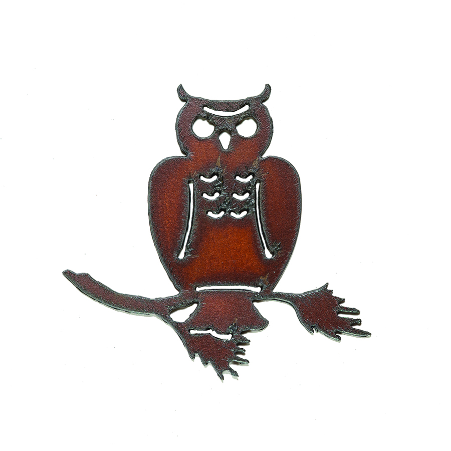 Owl (on branch) Magnets