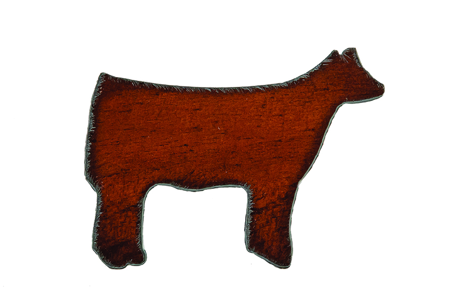 ShowSteer Magnets